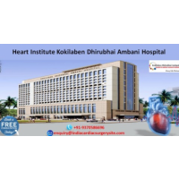 Heart Institute Kokilaben Dhirubhai Ambani Hospital, Dubai