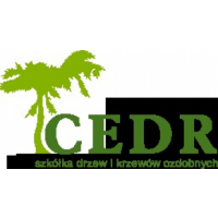 CEDR- szkółka drzew i krzewów ozdobnych, Czermin CEDR- szkółka drzew i krzewów ozdobnych, Czermin