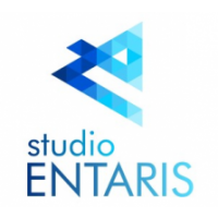 Entaris Studio - Agencja Kreatywna SEO - Strony internetowe Wrocław, Pozycjonowanie, Wrocław