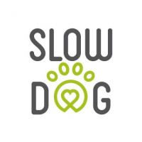 Slow Dog, Kraków