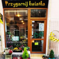 Kwiaciarnia Przygarnij Kwiatka - kwiaty, susz konopny CBD, Łódź