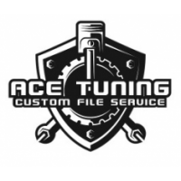 Tuning Files Service - Ace Tuning, Ciechocinek