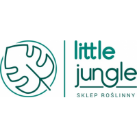 Little Jungle, Wrocław