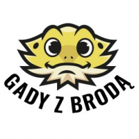 Gady z brodą, Bydgoszcz