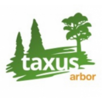 Taxus Arbor, Tychy