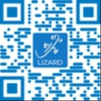 Specjalistyczny serwis informatyczny - IT Lizard, Poznań