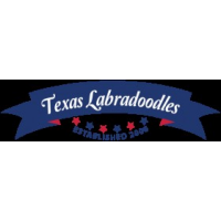 Texas Labradoodles, Wimberley