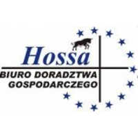 Biuro Doradztwa Gospodarczego Hossa Fąfara Marcin, Katowice
