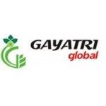 Gayatri Global, Indore, logo