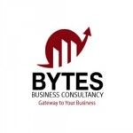 Bytes Business Consultancy, Dubai, logo