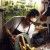 Alfredo Lerma Luthier company-title