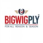 Bigwig Plywood, Yamuna Nagar, logo