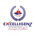Excelligenz - Training Center, Dubai, logo