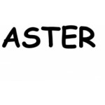 Przedstawiciel Handlowy Aster Warszawa, Warszawa, Logo