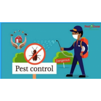 Pest R Gone - Pest Control Toronto, Toronto