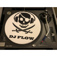 Event-DJ Flow (Hochzeit, Geburtstag, Event, Festival), Landau