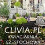 CLIVIA, Częstochowa, Logo