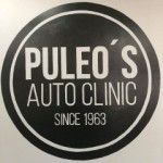 Puleo's Auto Clinic, Washington, logo