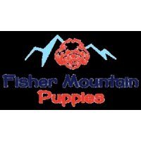 Fisher Mountain Puppies, Fayetteville