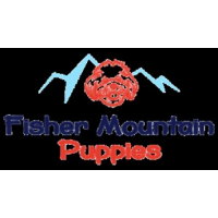 Fisher Mountain Puppies, Fayetteville Fisher Mountain Puppies, Fayetteville