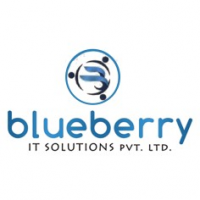 Blueberry IT Solutions Pvt Ltd, New Delhi