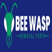 Bee Wasp Removal Perth, Perth
