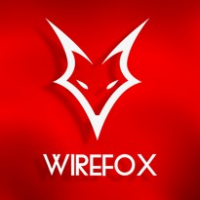 Wirefox Digital Agency Birmingham, Birmingham