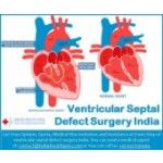 Ventricular Septal Defect Surgery India, Chicago, logo