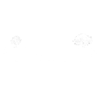 Goodfellers Tree Care & Property Maintenance, Dunboyne