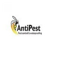 AntiPest Solutions-Anti Termite Treatment in Chandigarh, Chandigarh