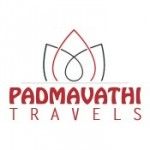 PadmavathiTravelsTNagar, chennai, logo