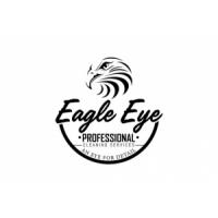 Eagle Eye Professional Cleaning Service, Kingston