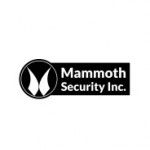 Mammoth Security Inc. West Hartford, West Hartford, CT, logo
