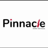 Pinnacle Seller Services, New Delhi