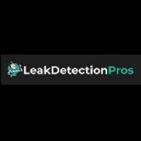 Leak Detection Pros Randburg, Randburg