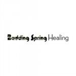 Budding Spring Healing, Wilmette, logo