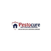 Pestocure Pest Control Services, Hyderabad