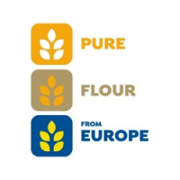 Pure Flour From Europe, New Delhi