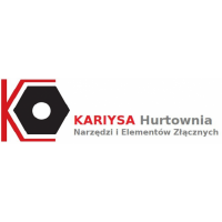 Kariysa FHPU, Toruń