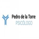 Psicólogo Pedro de la Torre, Valladolid, logo
