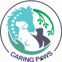 Caring Paws Vet Clinic & Surgical Centre - Pet Clinic In Ahmedabad, Ahmedabad