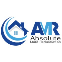 Absolute Mold Remediation Ltd., Toronto