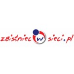 zaistniecwsieci.pl, Toruń, Logo
