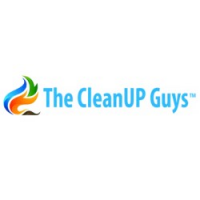 The CleanUP Guys, Illinois, Chicago