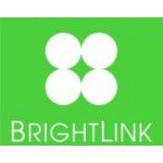 BrightLink Cargo and Movers LLC, Dubai, logo