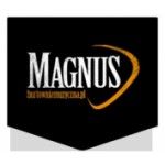 Magnus Hurtownia Instrumentów Muzycznych, Zamość, Logo