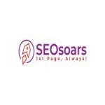SEO Soars, Singapore, logo