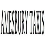 Amesbury Taxi, Amesbury, logo