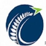 Immigration Advisers New Zealand Ltd, Auckland, logo