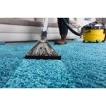 Pros Carpet Cleaning Sydney, Sydney, logo